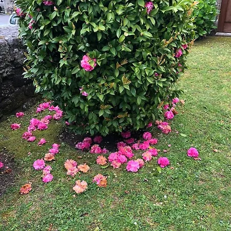 Casa O Muino Διαμέρισμα Poio