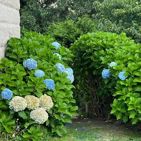 Casa O Muino Appartamento