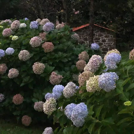 Διαμέρισμα Casa O Muino *